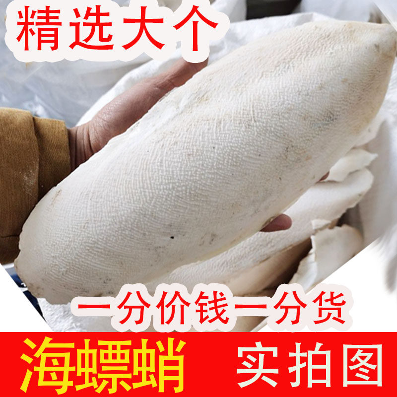 海螵蛸中药材墨鱼骨乌贼骨整个大墨鱼骨鹦鹉乌龟宠物补钙大块