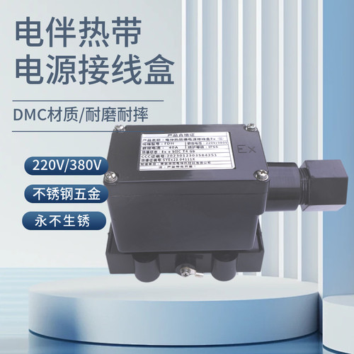 电伴热带专用电源接线盒FDH ExeIICT4 40A防爆首端接线盒新国标