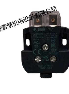 PIZZATO意大利原装进口微动开关DS CN1VA0