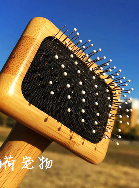 GOLDPETS金派滋竹木/榉木气囊针梳子 圆点狗猫用钢针梳拉毛开结