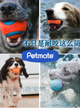 petmate Chuckit弹力球 狗玩具耐咬磨牙发声夜光幼犬小中大型犬