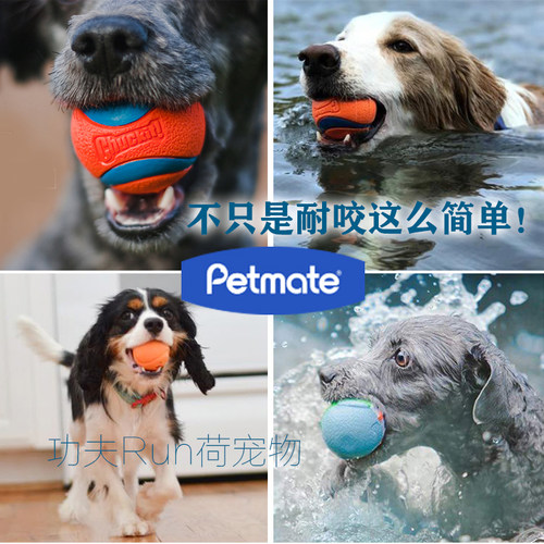 petmate弹力球耐咬磨牙夜光幼犬