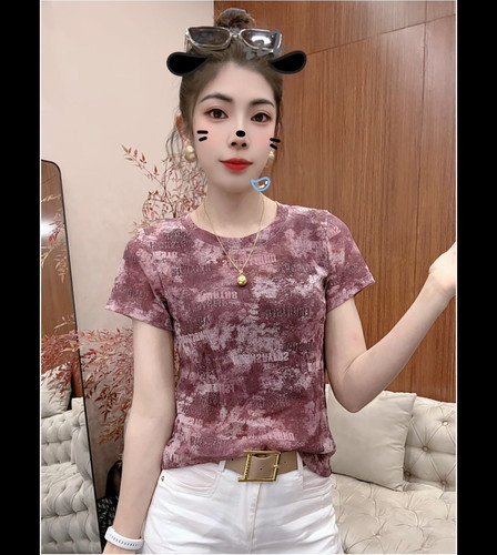 2026 夏圆领短袖洋气新款网纱T恤女时尚百搭显瘦弹力小衫印花上衣