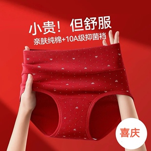 马年本命年红色女士内裤纯棉A类棉高腰收腹大码胖mm全棉三角裤头