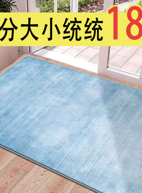 耐脏室内外大门地毯浅蓝色系简约风门口脚垫除尘耐脏进门垫新款
