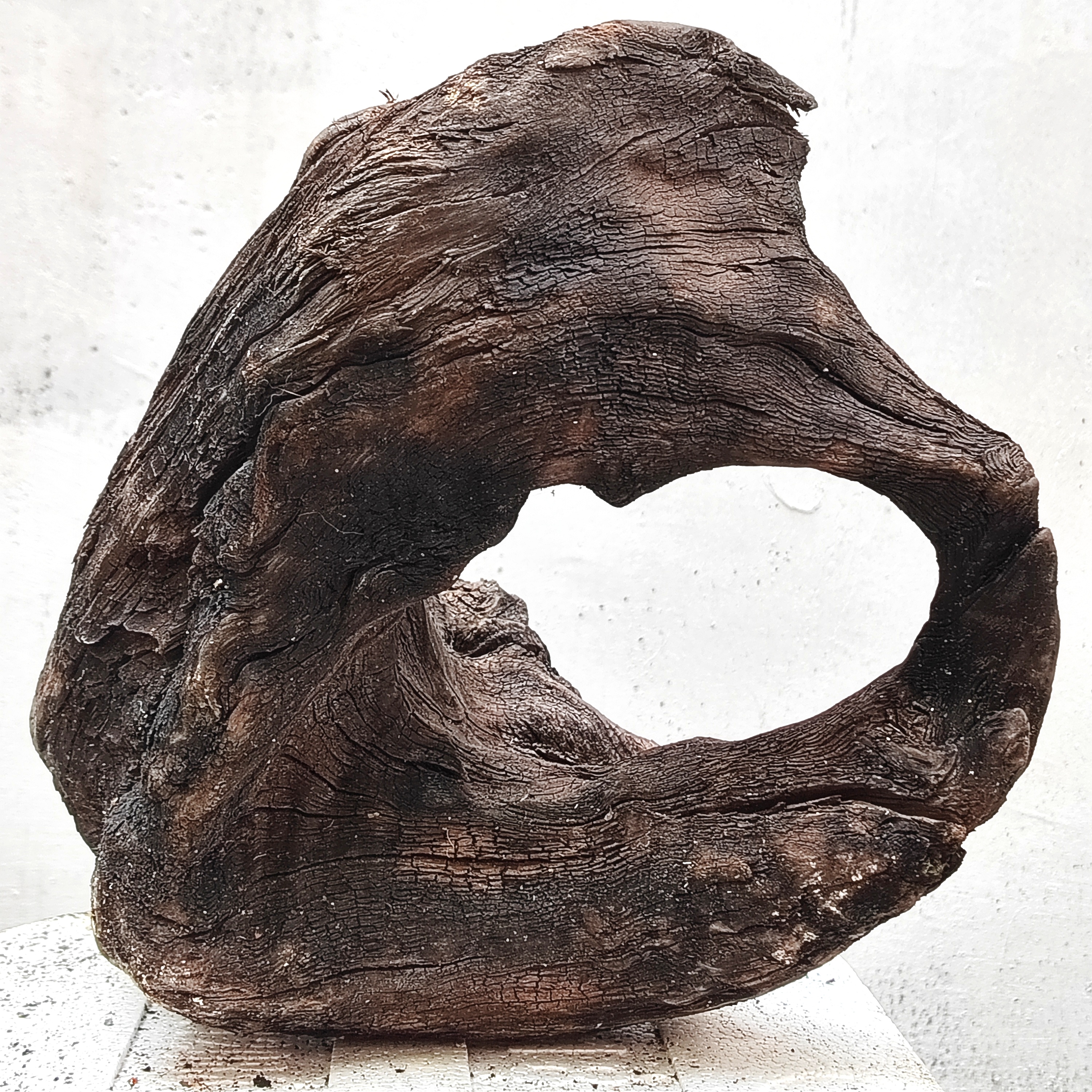 原生态精品沉木造景树桩天然树洞摆件鱼缸爬宠木头