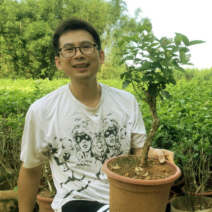 茉莉花老桩盆栽好养成活室内外阳台植物横县重瓣茉莉花苗