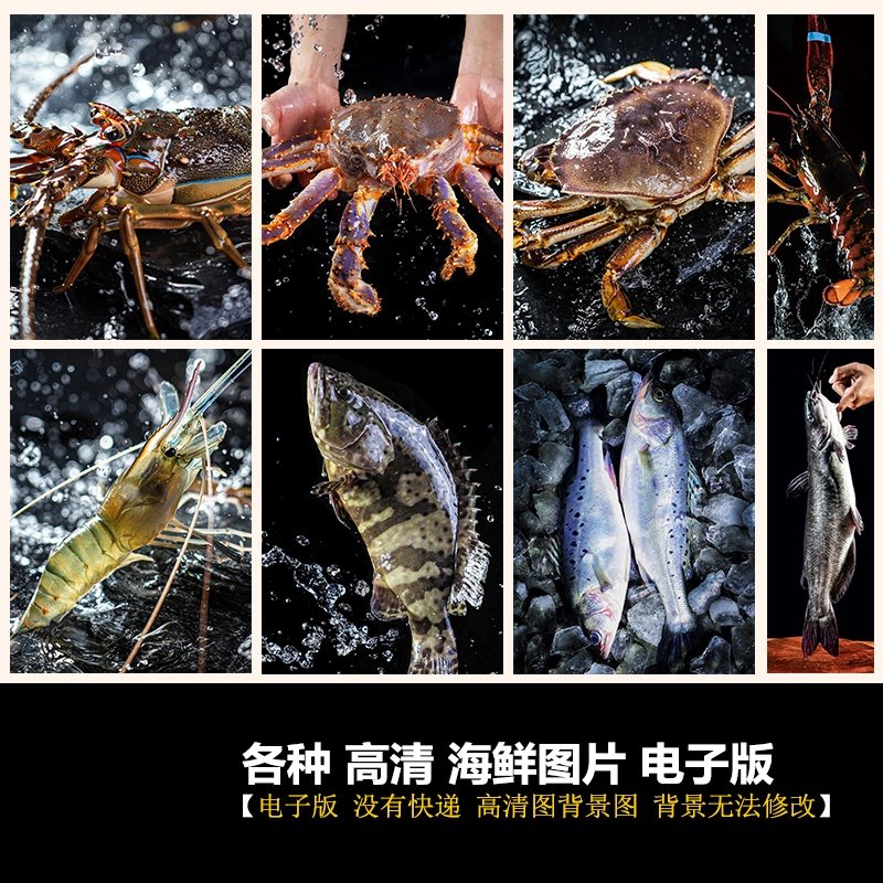 海鲜海产高清图帝王蟹大龙虾小青设计素材/源文件