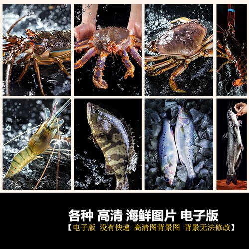 海鲜海产高清图帝王蟹大龙虾小青龙鱼类图片深海海报高清设计图片