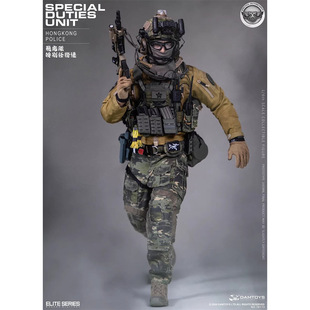 DAMTOYS 1/6 HK SDU HK特别任务连 飞虎队 78113 定金