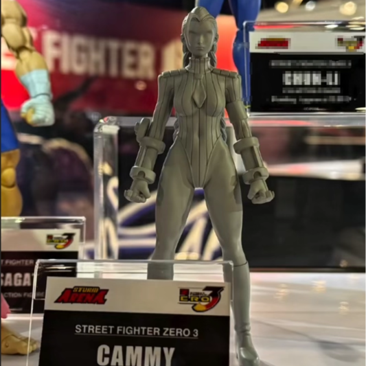 ST Storm Toys Arena 1/12 街头霸王 嘉米 先行定金