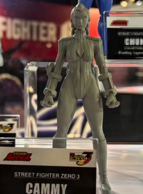 ST Storm Toys Arena 1/12 街头霸王 嘉米 先行定金