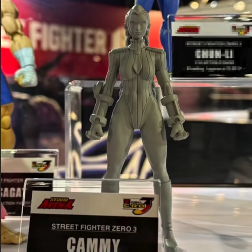 ST Storm Toys Arena 1/12 街头霸王 嘉米 先行定金