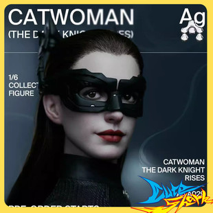 蝙蝠侠 黑暗骑士崛起 A029 定金 可动人偶 INART 猫女