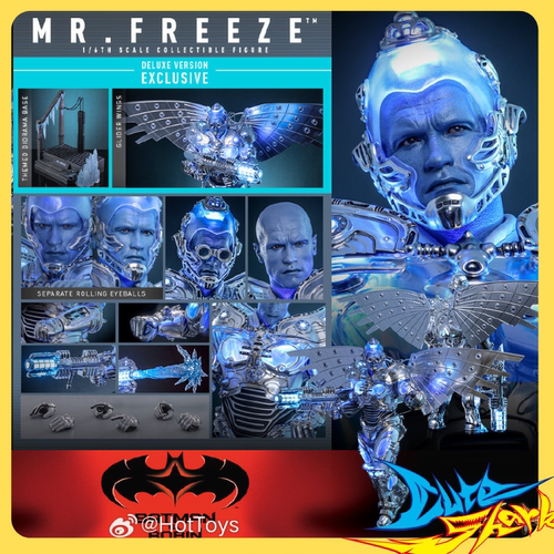 HT Hottoys 1/6 蝙蝠侠与罗宾 急冻人 MMS799 800 现货