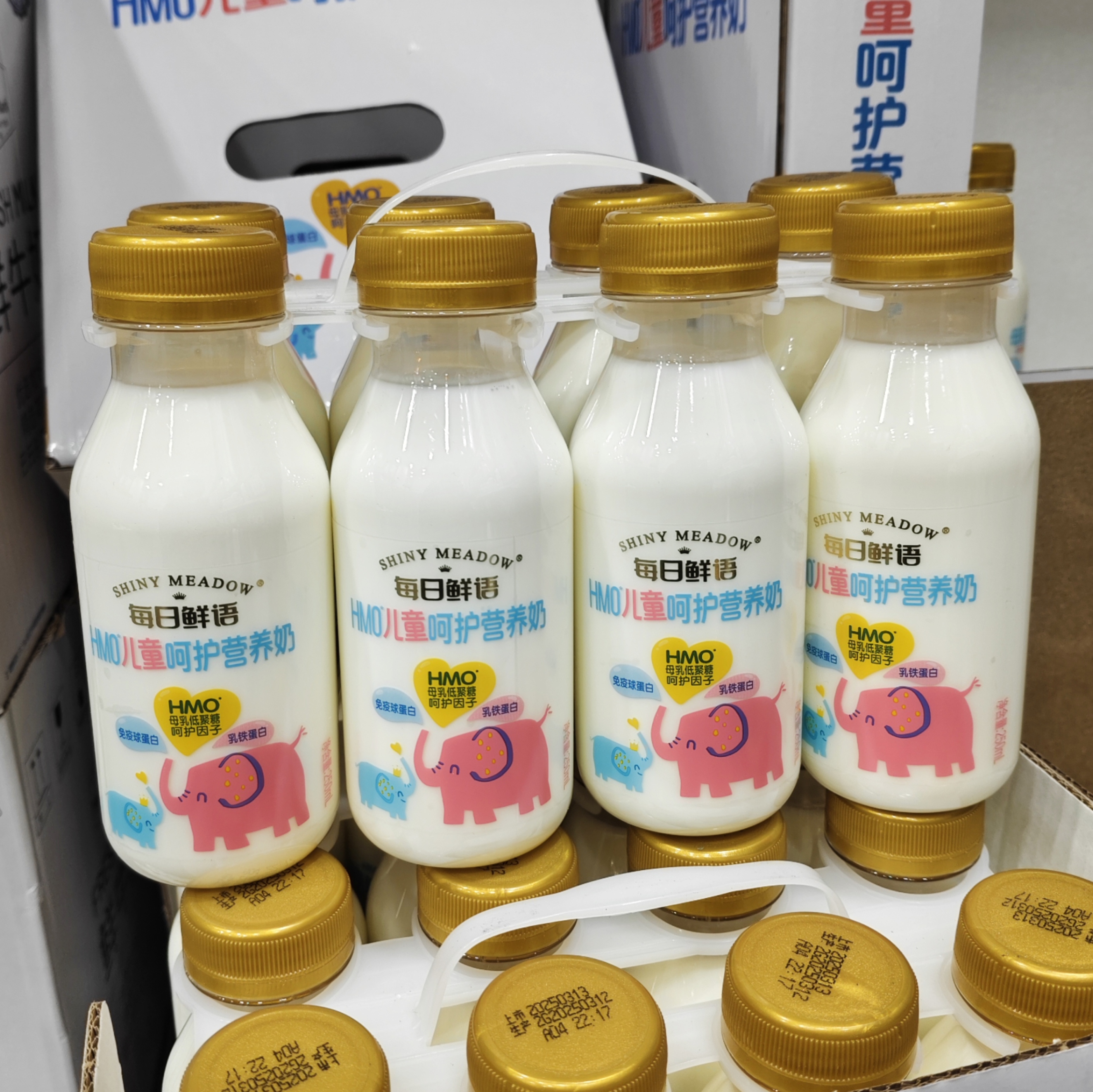 山姆代购 每日鲜语HMO儿童呵护营养奶早餐鲜牛奶乳铁蛋白免疫球奶