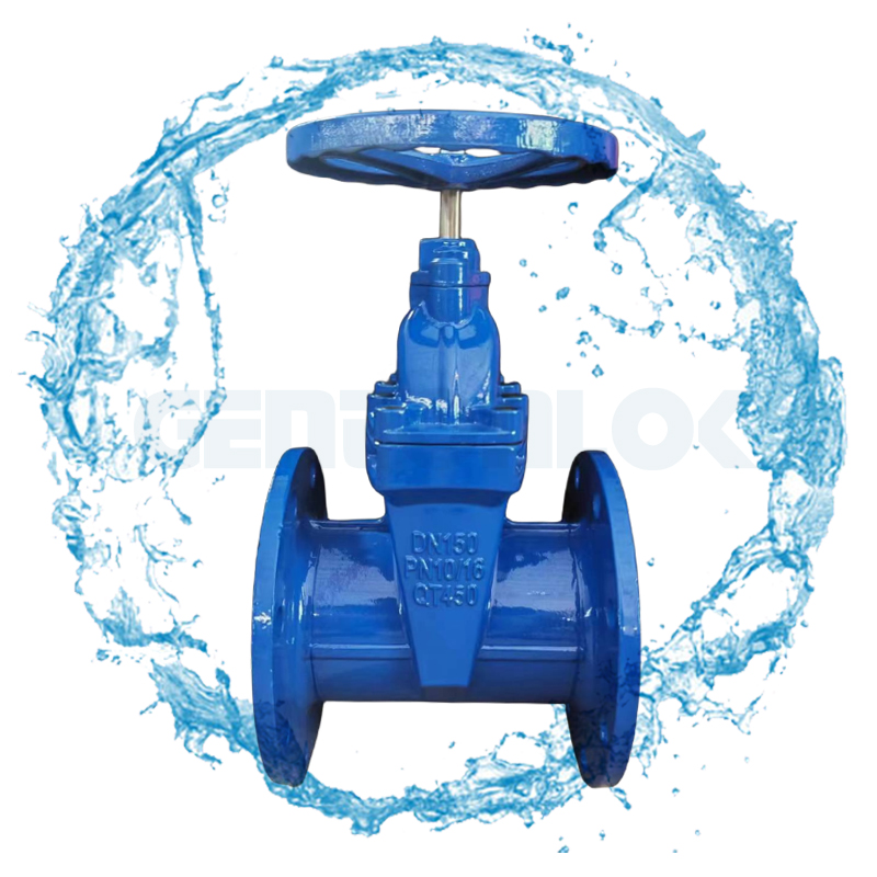 法兰橡胶闸阀软密封弹性座封Z45X