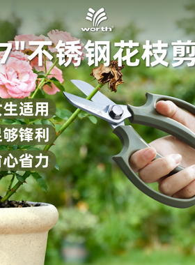 沃施worth园艺剪刀不锈钢修枝剪鲜花花剪剪花店专用家用修剪工具