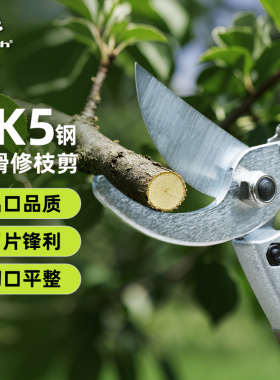 沃施worth修枝剪园艺剪果树剪树枝剪花卉花艺剪园林绿化修花剪刀