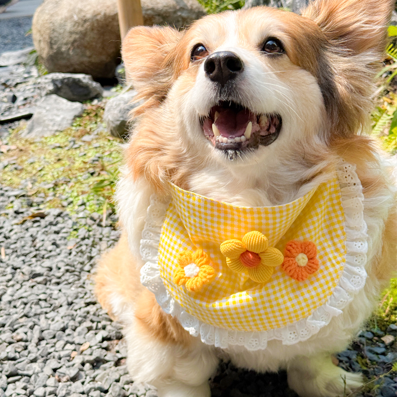 狗口水巾金毛柴犬狗围脖大型犬宠物生日装饰猫咪口水兜猫脖子饰品