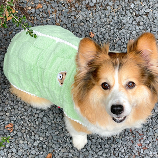 狗子衣服加绒马甲秋冬保暖加厚柯基柴犬幼犬衣服宠物猫咪衣服背心