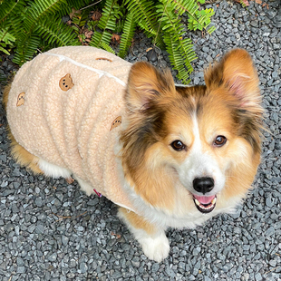 狗狗保暖马甲加厚新柯基柴犬幼犬秋冬新款比熊遛狗宠物防掉毛衣服