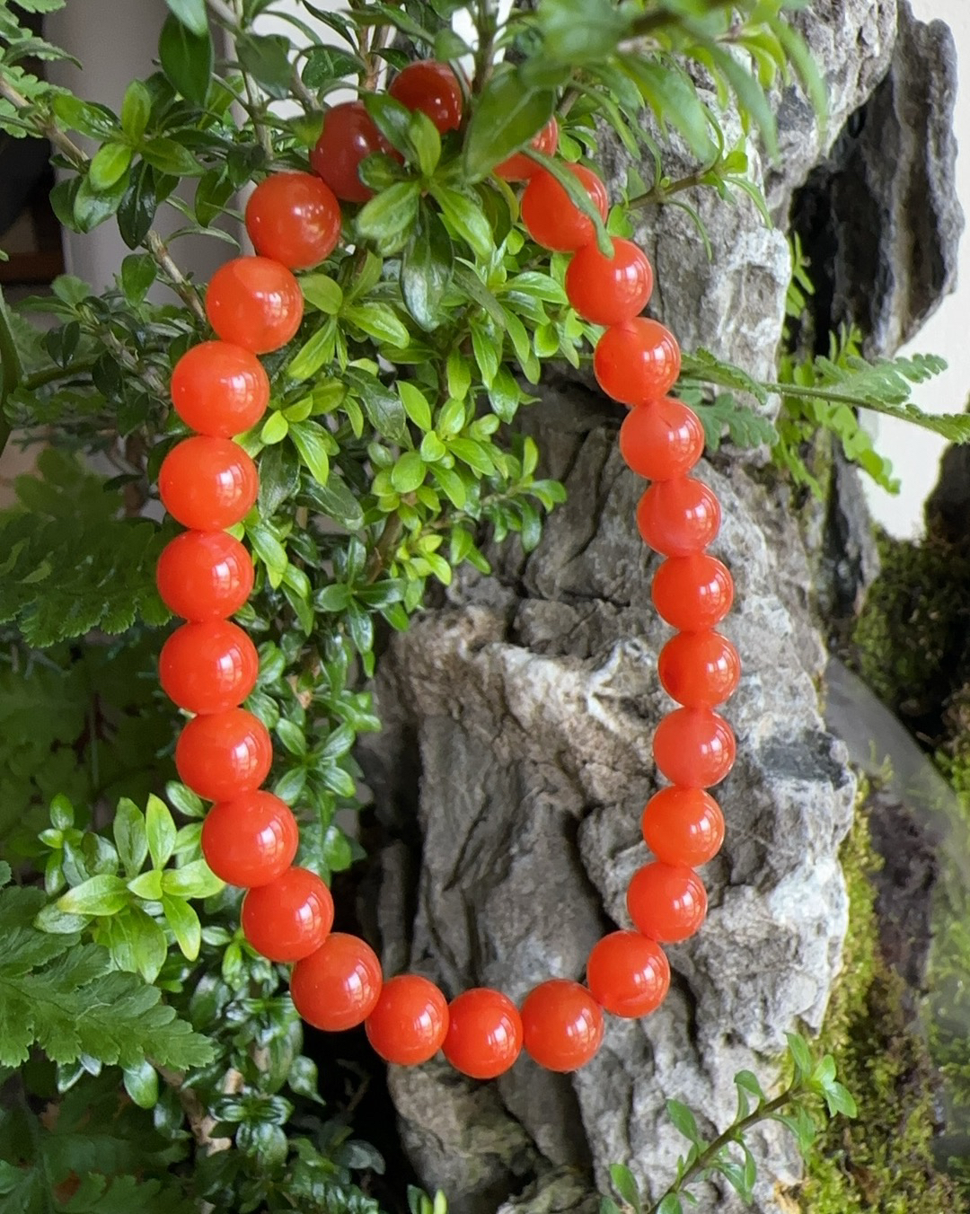 杨玉家云南保山天然原矿南红玛瑙满色柿子红6.6MM女士手串证书新