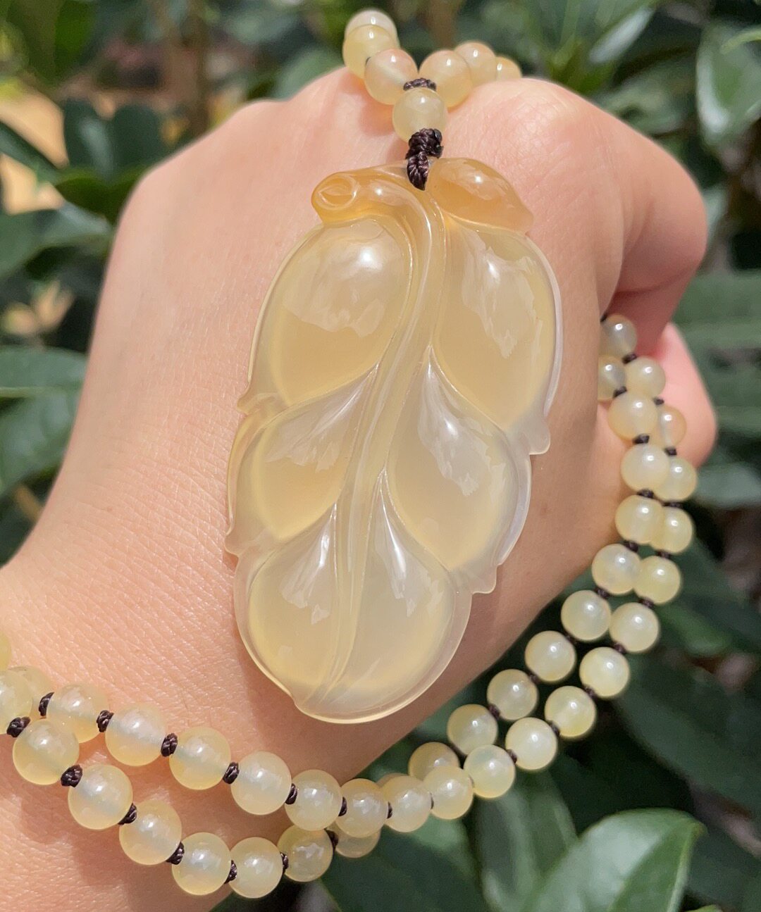 杨玉家天然黄龙玉玻璃种水黄老料金枝玉树叶子挂件证书包邮人气新