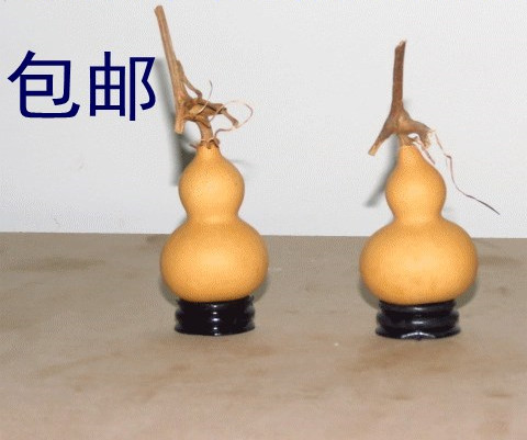 居家天然小美葫芦摆件铁宝金手捻文玩把玩草里金天津招财低价包邮