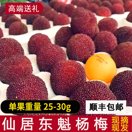 9A乒乓球大果96颗仙居东魁杨梅现摘现发当季新鲜孕妇水果送礼整箱