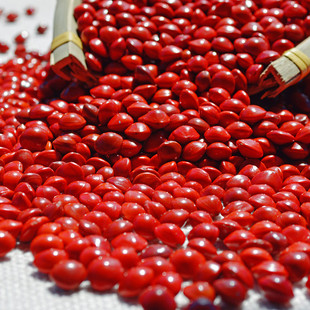 天然红豆菩提子相思豆原籽海红豆手串手链血菩提玲珑骰子安红豆