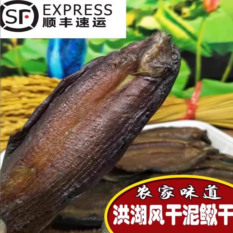 新鲜风干泥鳅开背腌制