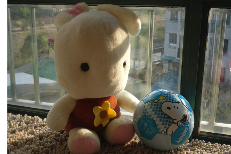 Ballon de football - Ref 5220 Image 2