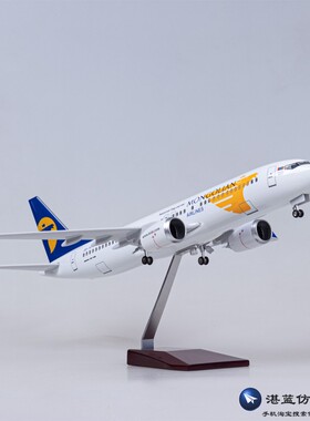 带灯47cm蒙古航空客机飞机模型波音737仿真拼装航模收藏摆件MIAT