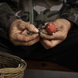 三明野生红菇山珍干货红蘑菇食用菌月子伴手礼送礼尤溪特产沈福门