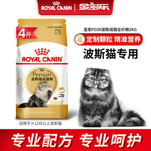 法国皇家波斯猫专用纯种加菲猫