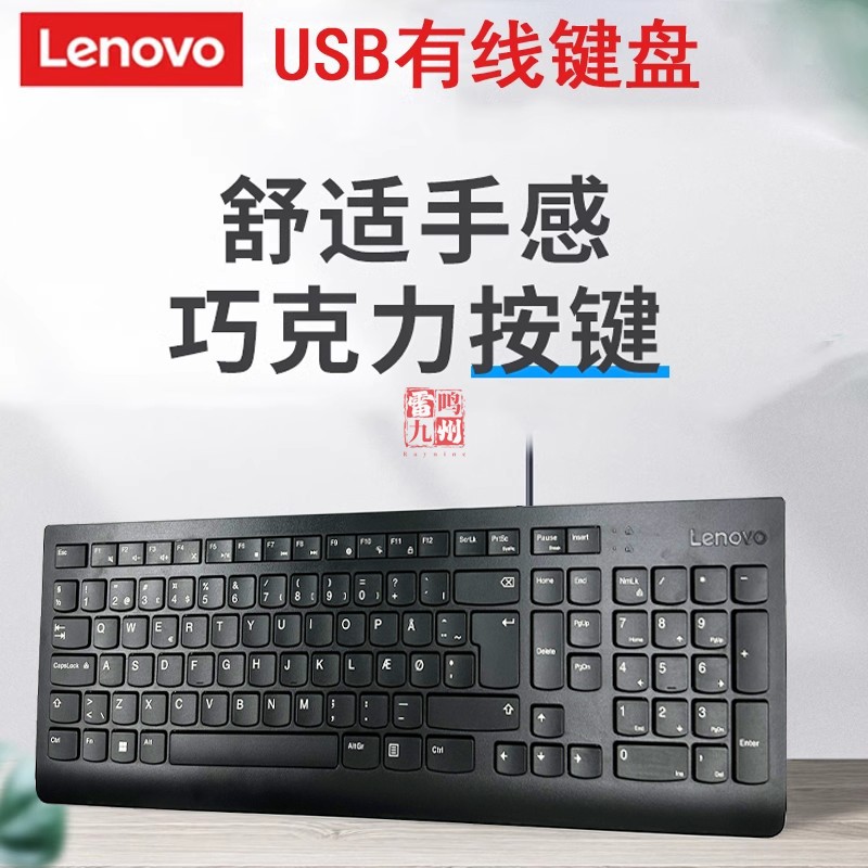 全新原装联想SK8823 EKB536A有线键盘 KU-1601静音键盘 笔记本台式机usb通用办公键盘薄款 欧版德语 挪威语