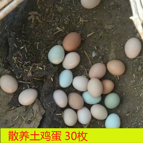 土鸡蛋笨鸡蛋农家正宗散养新鲜柴鸡蛋月子蛋30枚包邮 - 封面