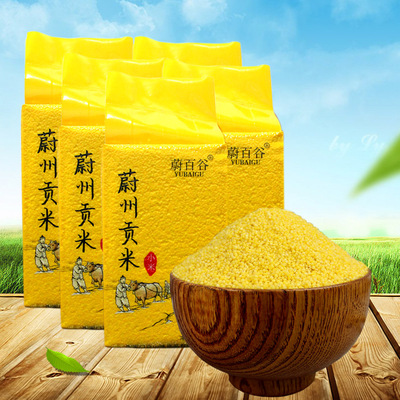蔚县黄小米500克真空包装米砖好喝的小米粥米蔚州贡米2025年新米