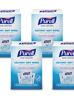 美国直邮普瑞Pure 9022-10 Sanitizing Hand Wipes擦手消毒湿巾