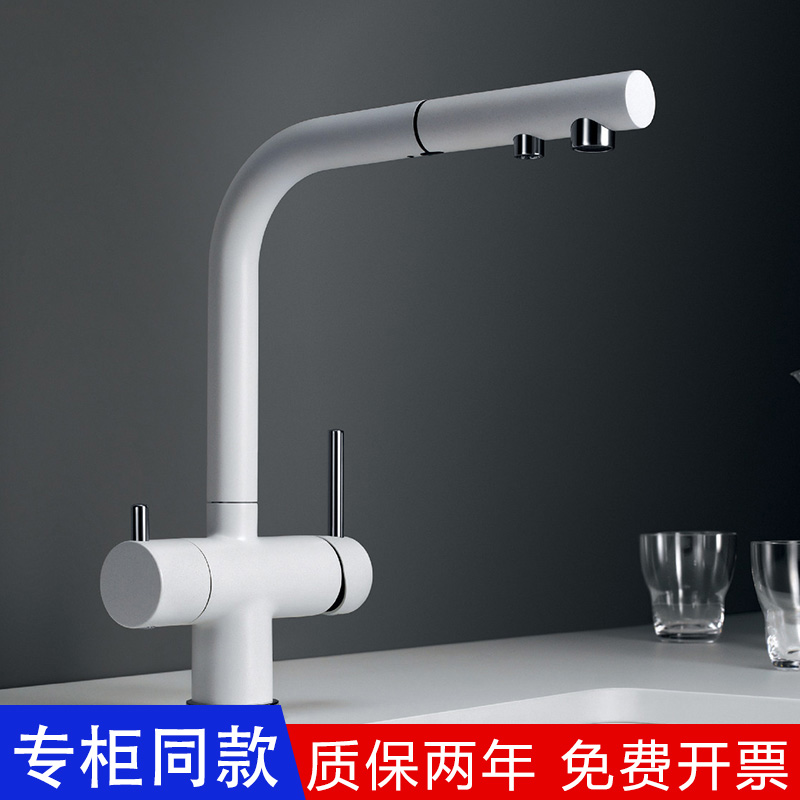 德国铂浪高双出水厨房龙头