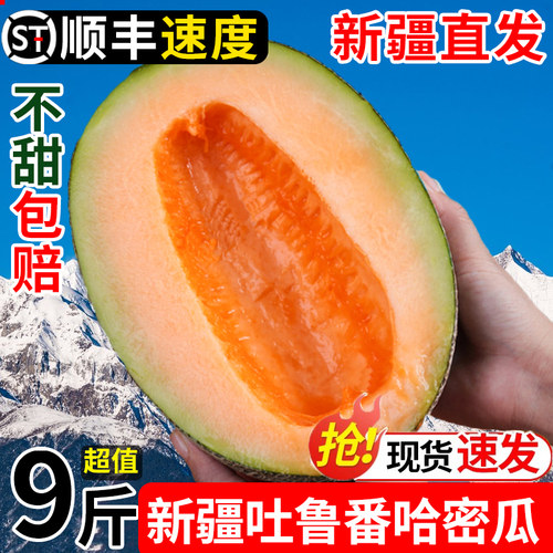 新疆哈密瓜吐鲁番西州蜜25号应当季新鲜水果甜瓜孕妇9斤甜包邮