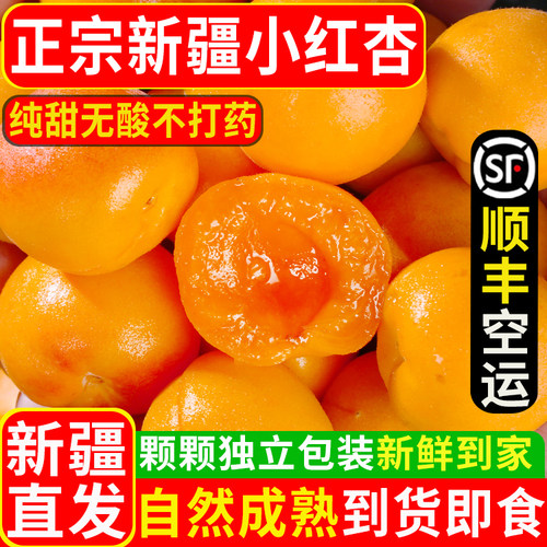 新疆小红杏吊干杏新鲜水果鲜杏当季整箱甜阿克苏吊杆杏子胜小白杏