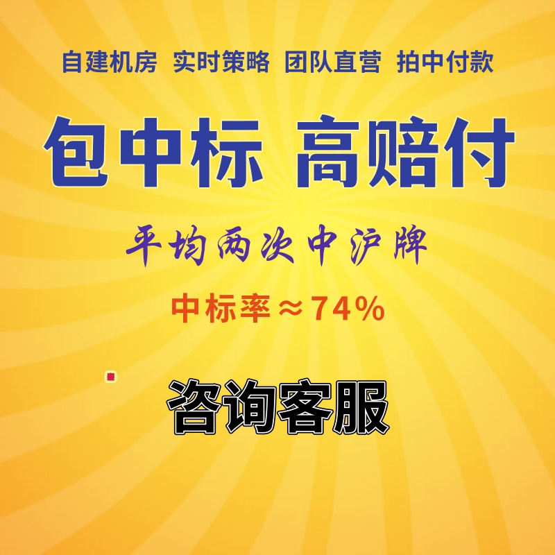 咨询沪牌代拍光速代拍平均2次中沪牌团队直营