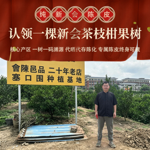 會陳邑品二十年老店 新会陈皮茶枝柑树认领 源头果园认领一颗果树