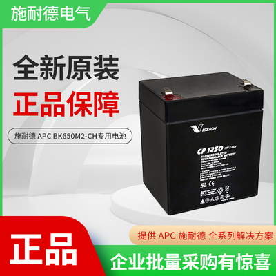 铅酸蓄电池Vsionbk650中国全新