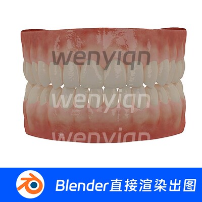 Blender成人嘴巴牙齿恒牙口腔模型710