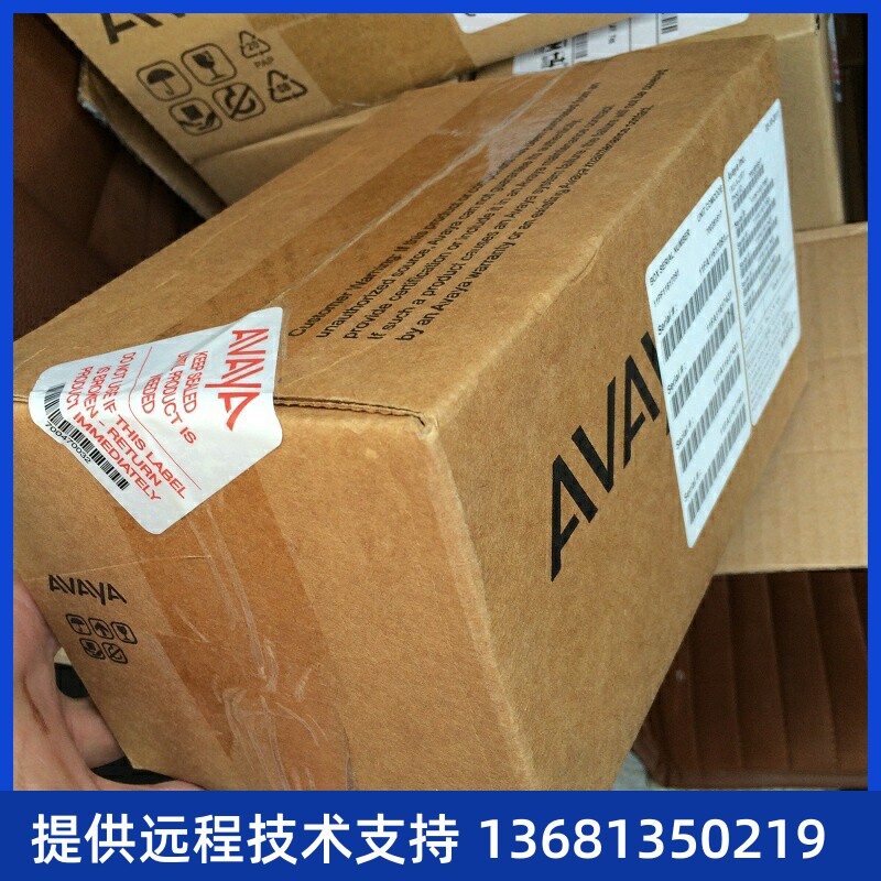 Avaya EU24 24 Button Expansion Module 700381817 扩展