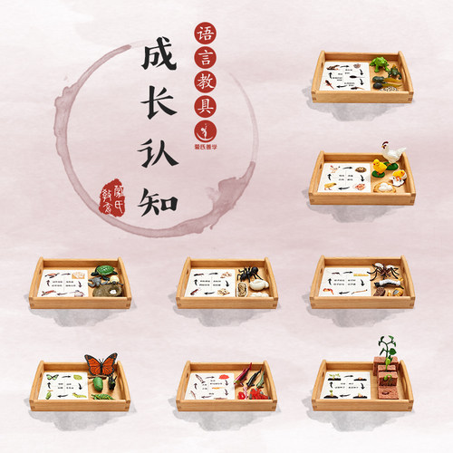 鸡乌龟青蛙蚊动物成长模型语言