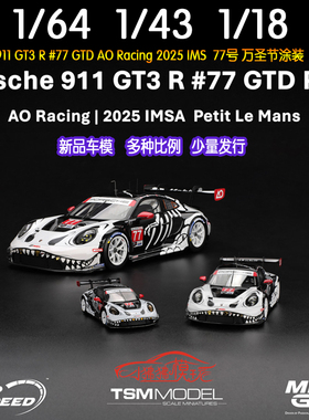 MINI GT 1:64 TSM 1/43 18保时捷911 GT3R万圣节白恐龙77#化骨龙
